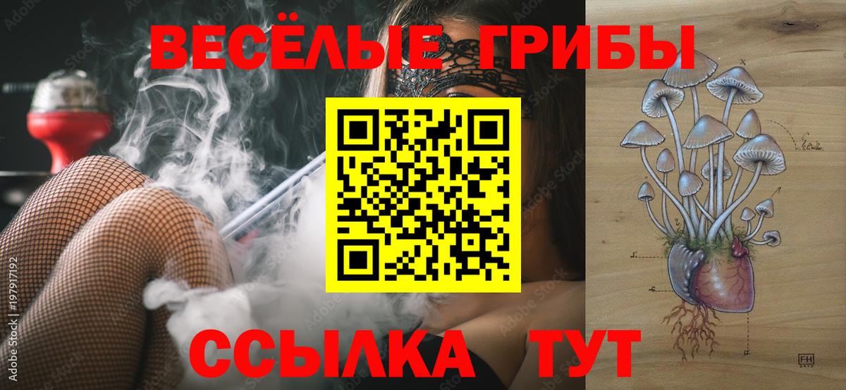Псилоцибиновые грибы мухоморы  Вход с VPN  Нижнеудинск 